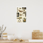 クリームの背絵を描景にさまざまな動物 ポスター (キッチン)