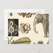 クリームの背絵を描景にさまざまな動物 ポストカード (正面/裏面)