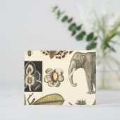 クリームの背絵を描景にさまざまな動物 ポストカード (スタンド正面)