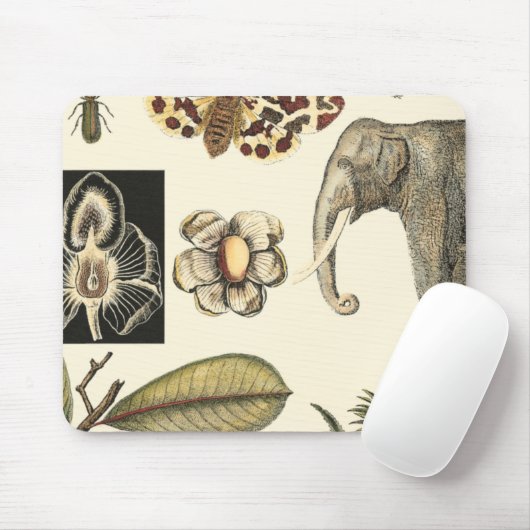クリームの背絵を描景にさまざまな動物 マウスパッド (マウス)
