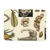 クリームの背絵を描景にさまざまな動物 マグネット (横)