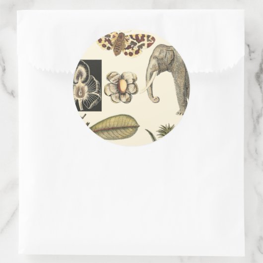 クリームの背絵を描景にさまざまな動物 ラウンドシール (バッグ)