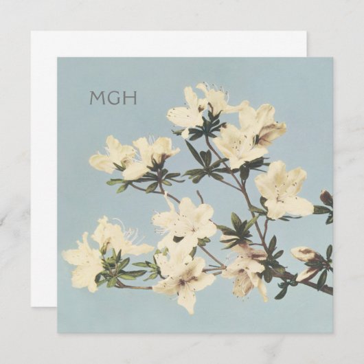 クリームアザレアフラワーズモノグラム サンキューカード (正面/裏面)