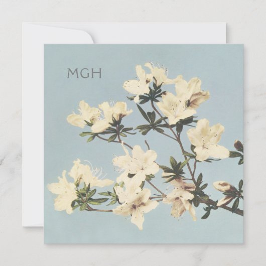 クリームアザレアフラワーズモノグラム サンキューカード (正面)