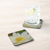 クリームウォーターリリー02.JPG コースター (右側)
