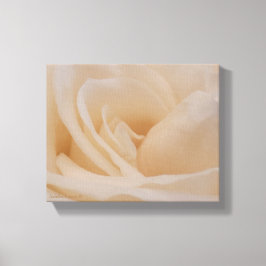 クリームカラーバラクローズアップ キャンバスプリント