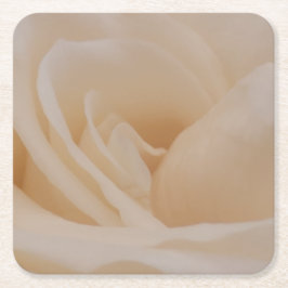 クリームカラーバラクローズアップ スクエアペーパーコースター