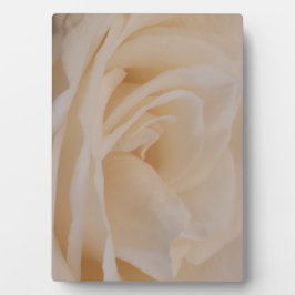 クリームカラーバラクローズアップ フォトプラーク