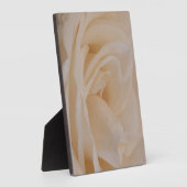 クリームカラーバラクローズアップ フォトプラーク (側面)