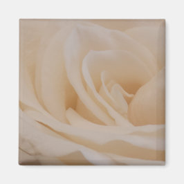 クリームカラーバラクローズアップ マグネット