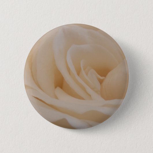 クリームカラーバラクローズアップ 缶バッジ (正面)