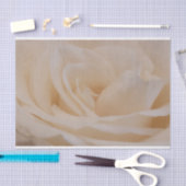 クリームカラーバラクローズアップ 薄葉紙 (クラフト)