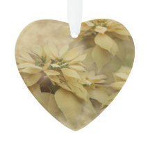 クリームカラーポインセティアスデジタルアートアクリル