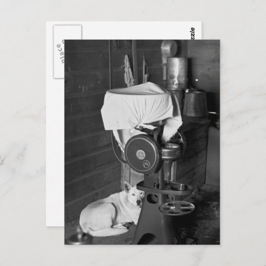 クリームセパレータのガード， 1936 ポストカード (正面/裏面)