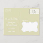 クリームゼブラストライプアニマルプリント;デイジー 案内ポストカード (裏面)