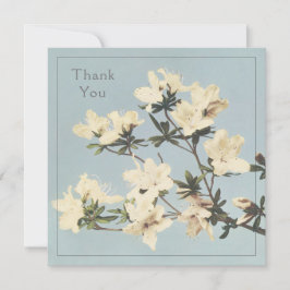 クリームツツツツツツジ花 サンキューカード