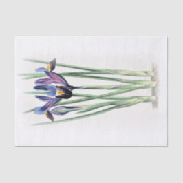 クリームティッシュペーパーのアイリスヴィンテージの水彩画は衰退します 薄葉紙