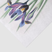 クリームティッシュペーパーのアイリスヴィンテージの水彩画は衰退します 薄葉紙 (詳細)