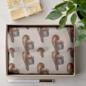 クリームハウディカウボーイウェスタンハット 薄葉紙 (ギフト)