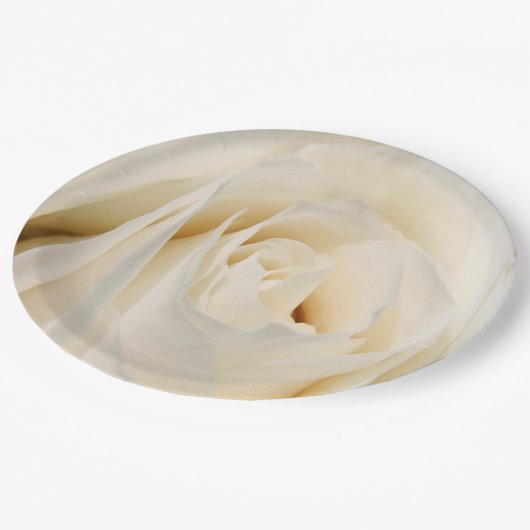 クリームバラ紙プレート ペーパープレート (アングル)
