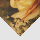 クリームバラ 薄葉紙 (詳細)