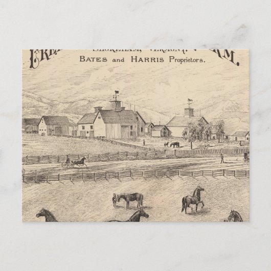 クリームヒルストックファームインショアハムバーモント ポストカード (正面)