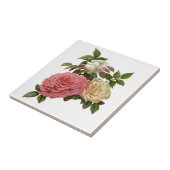 クリームビクトリアンとピンクのバラ タイル (側面)