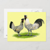 クリームブラバンターチキン ポストカード (正面/裏面)