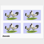 クリームブラバンターチキン 長方形シール (シート)