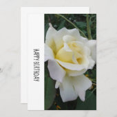 クリームホワイトローズ誕生日カード (正面/裏面)