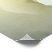 クリームホワイトローズ – ポスター (角)