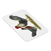 クリームレガバーチキン マグネット (右側)