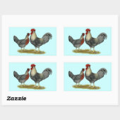 クリームレガバーチキン 長方形シール (シート)