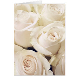 クリーム色のバラ