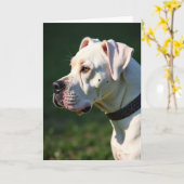 クリーム色の犬 父の日 カード (黄色い花)