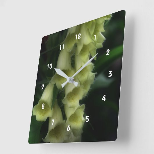 クリーム色の白いフォックスグローブフラワー スクエア壁時計 (傾斜)