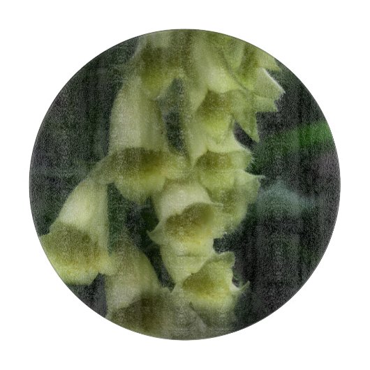 クリーム色の白い花弁 カッティングボード (正面)