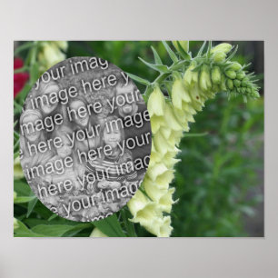 クリーム色の白いFoxglove花あなたの写真を追加 ポスター