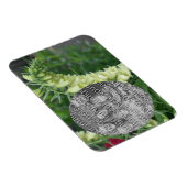 クリーム色の白いFoxglove花あなたの写真を追加 マグネット (右側)