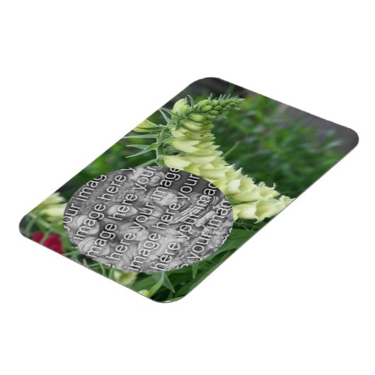 クリーム色の白いFoxglove花あなたの写真を追加 マグネット (左側)