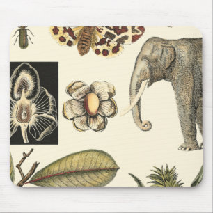 クリーム色の背景で絵を描かれる分類された動物 マウスパッド