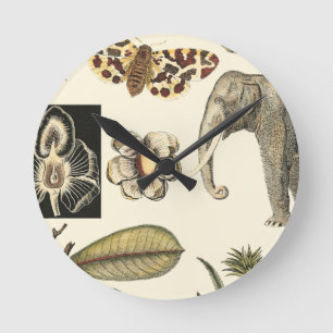 クリーム色の背景で絵を描かれる分類された動物 ラウンド壁時計