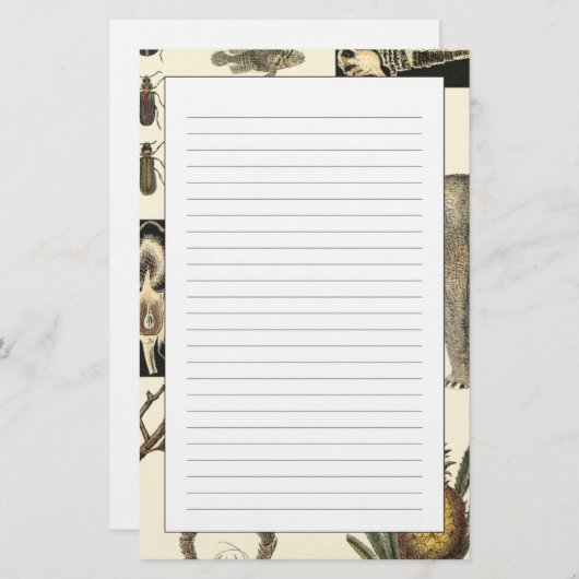 クリーム色の背景で絵を描かれる分類された動物 便箋 (正面/裏面)