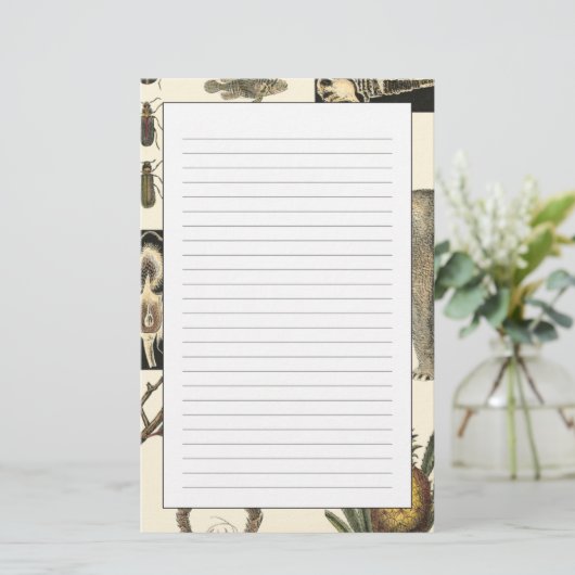 クリーム色の背景で絵を描かれる分類された動物 便箋 (スタンド正面)