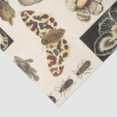 クリーム色の背景で絵を描かれる分類された動物 薄葉紙 (詳細)