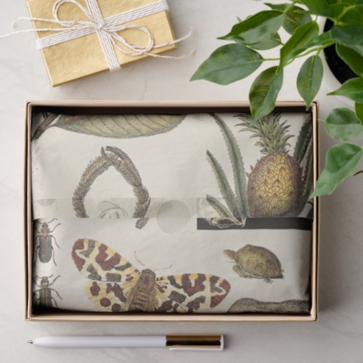 クリーム色の背景で絵を描かれる分類された動物 薄葉紙 (ギフト)