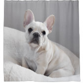 クリーム色のFrenchieのシャワー・カーテン シャワーカーテン (正面)