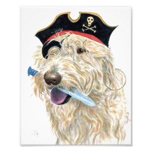 クリーム色のLabradoodle海賊 フォトプリント