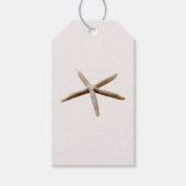 クリーム赤面海ヒトデ ギフトタグ (正面)