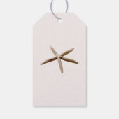 クリーム赤面海ヒトデ ギフトタグ (裏面)